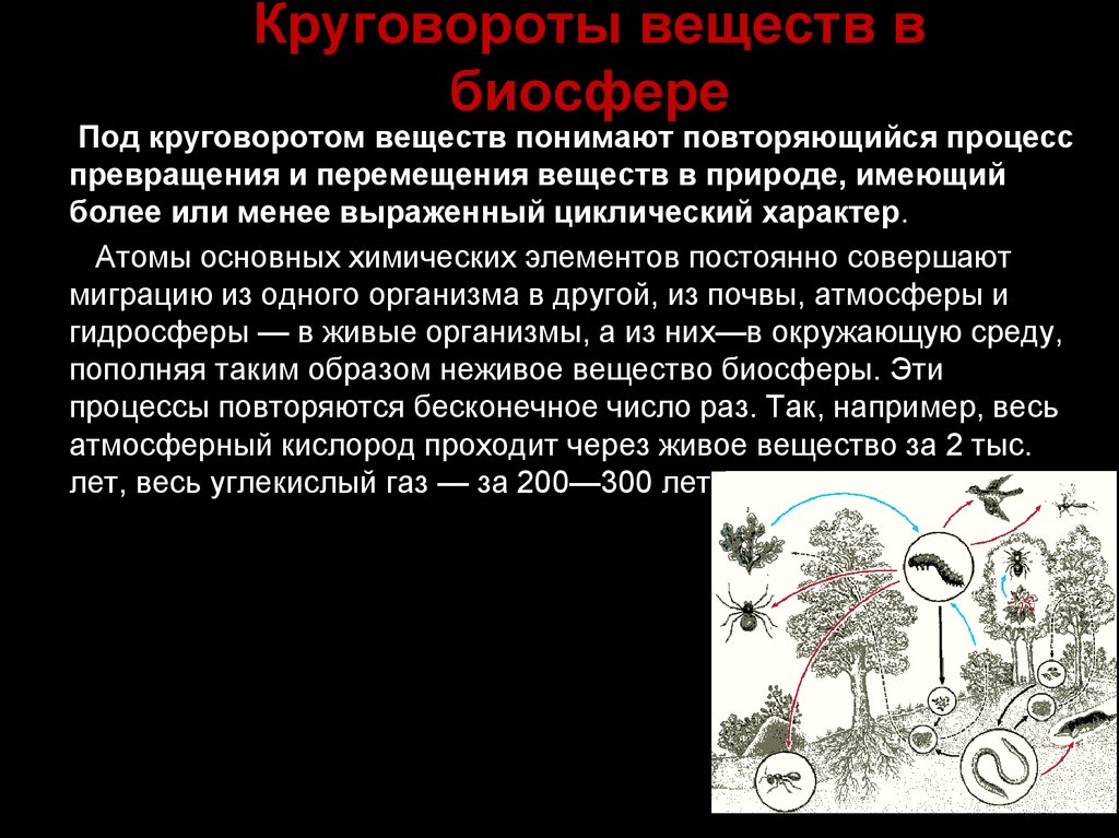 Презентация биосфера круговорот веществ в биосфере