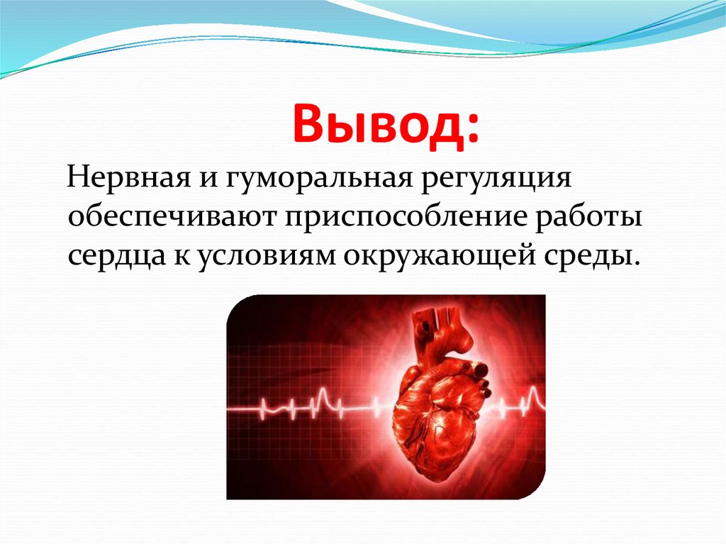 Работу сердца усиливают. Вывод регуляция работы сердца. Нейрогуморальная регуляция вывод. Гуморальная и нервная регуляция вывод. Гуморальная регуляция вывод.