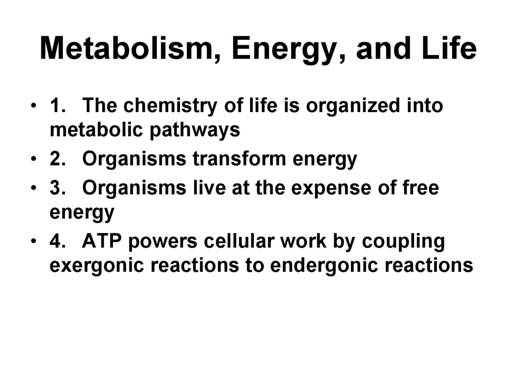 Metabolism, Energy, and Life