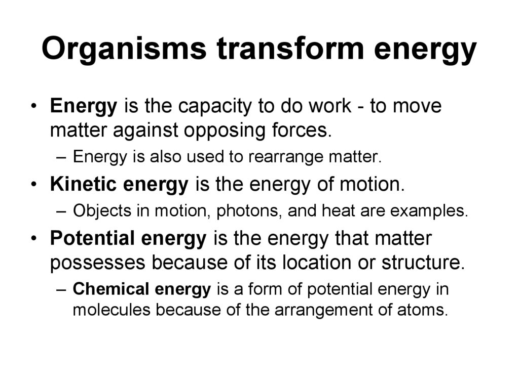 Organisms transform energy