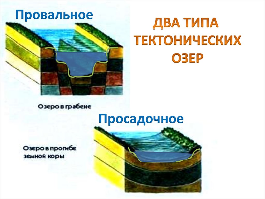 Впадина в земной коре 4. Типы озер. Лагуновский Тип озера.