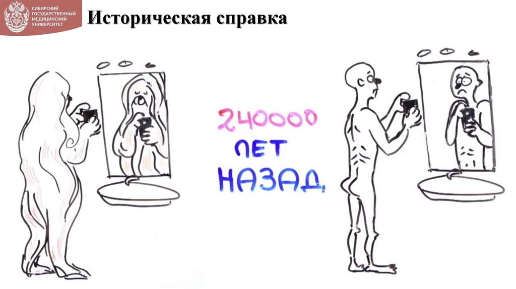 Историческая справка