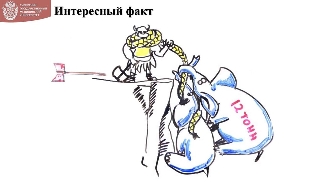 Интересный факт