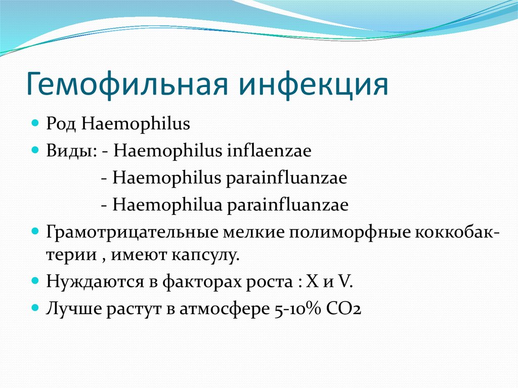 Haemophilus influenzae 10. Гемофильная инфекция типа в. Род Haemophilus. Гемофилы инфлюэнцы таксономия. Систематика гемофильной инфекции.