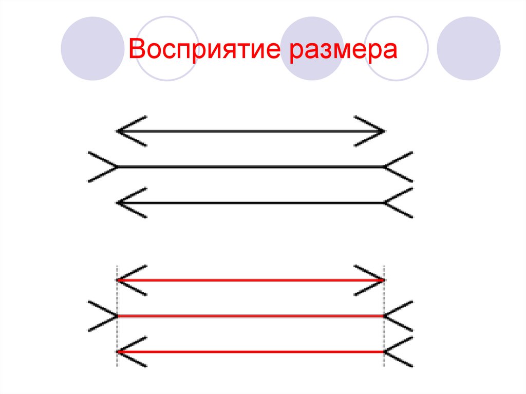 Восприятие величины картинки