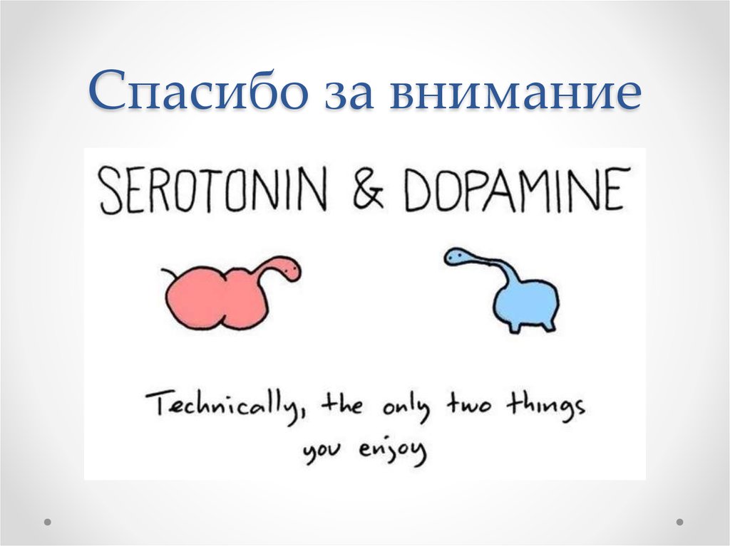 Спасибо за внимание