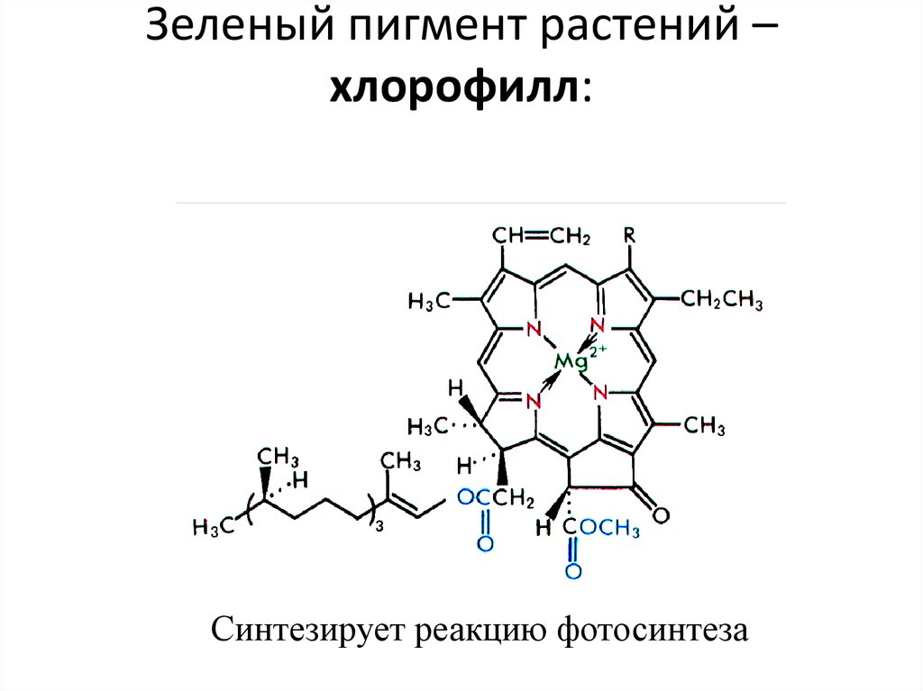 Накопление водорастворимых пигментов антоцианов присоединение молекулы