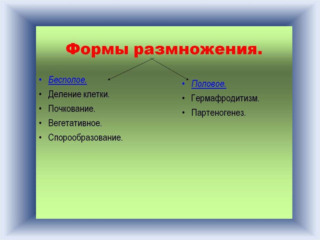 Назовите признаки полового размножения