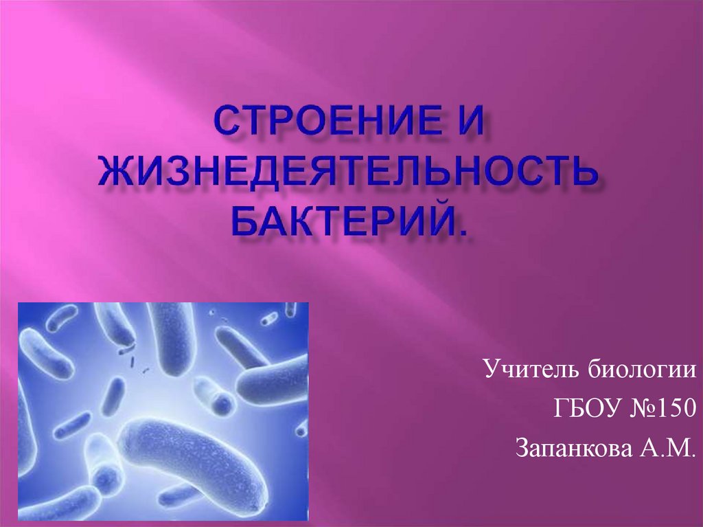Жизнедеятельность бактерий 5. Процессы жизнедеятельности бактерий 9 класс. Строение и жизнедеятельность бактерий. Бактерии презентация. Презентация строение и жизнедеятельность бактерий.