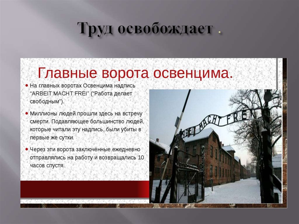 Освенцим перевод. Что написано на воротах Освенцима. Надпись на входе в концлагерь Освенцим. Надпись на воротах концлагеря. Освенцим ворота надпись.