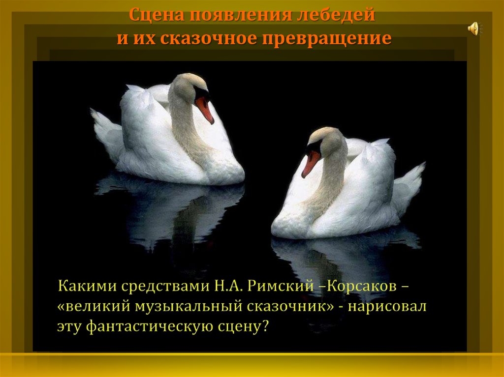 Лебедь для гравировки. Рок острова песня про лебедей. Фон для презентации лебедь в ночи.