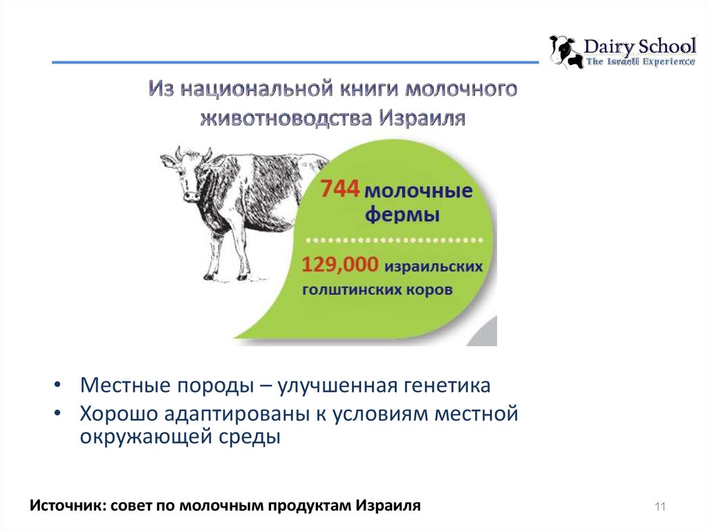 Высоко продуктивная. Схема клонирования высокопродуктивной коровы. Молочное животноводство в Израиле. Белок для высокопродуктивных молочных коров. Улучшающие породы в Молочном скотоводстве.