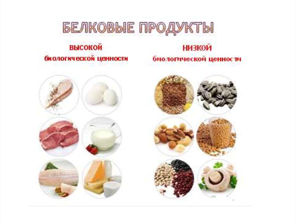 Выберите продукт. Продукты с высокой биологической ценностью. Высокобелковые продукты. Продукты белки высокой биологической ценности?. Продукты с высокой и низкой биологической ценностью.