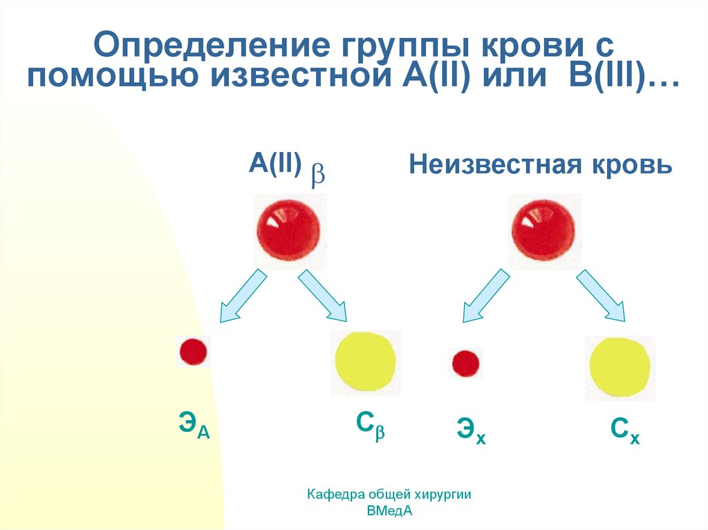 Обмен группами крови. Схема определения группы крови. Факторы определяющие группу крови. Методика определения группы крови. Определение группы крови виды.