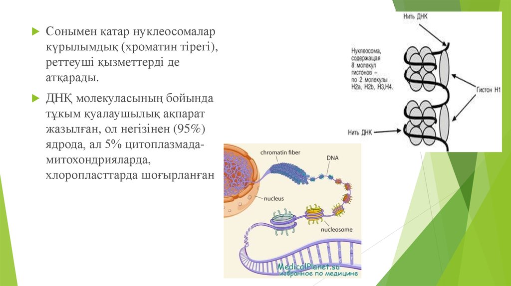 Рекомбинантты днқ алу