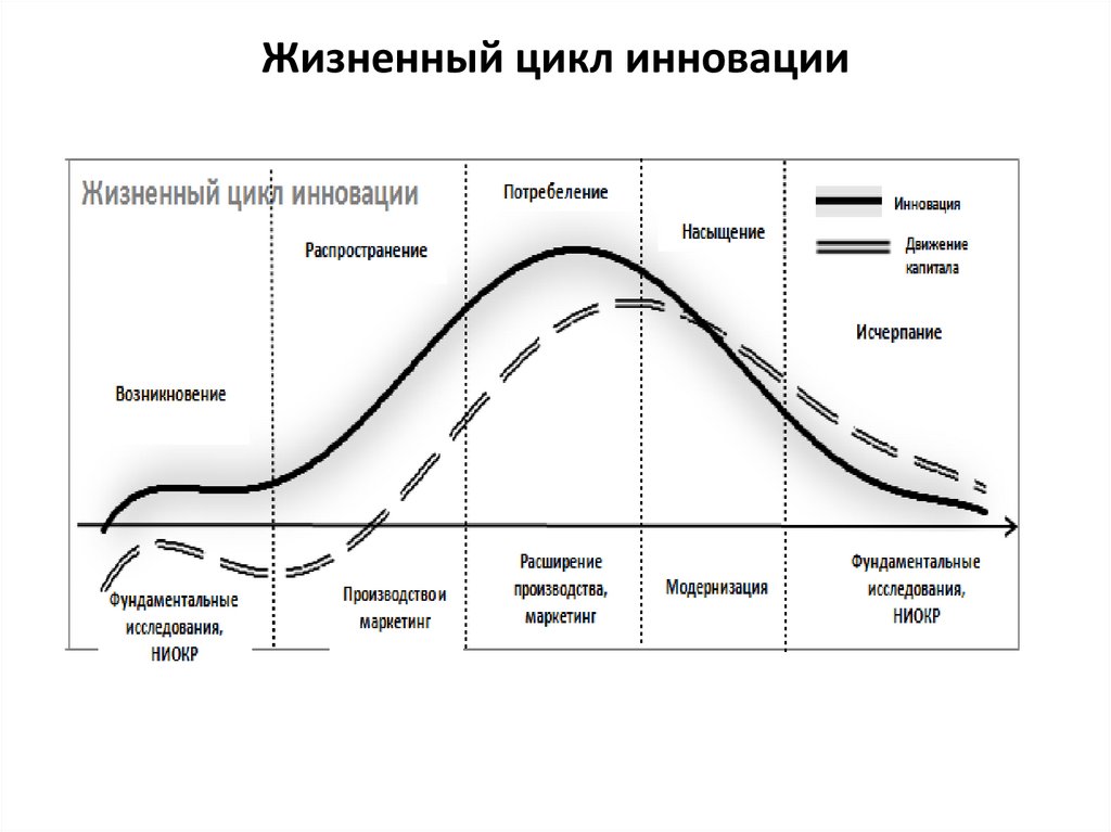 Какая стадия жизненного цикла