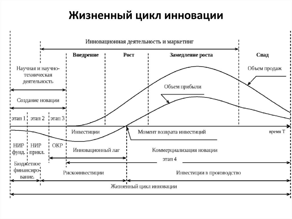 Анализ цикла организации