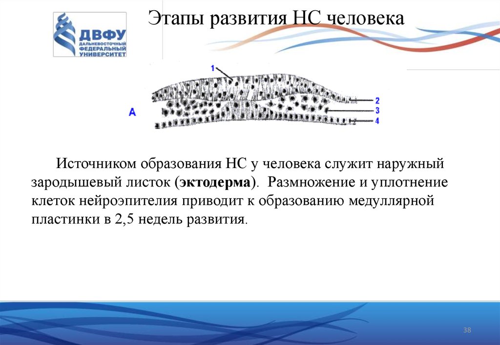 Проект сервис плюс армавир официальный сайт