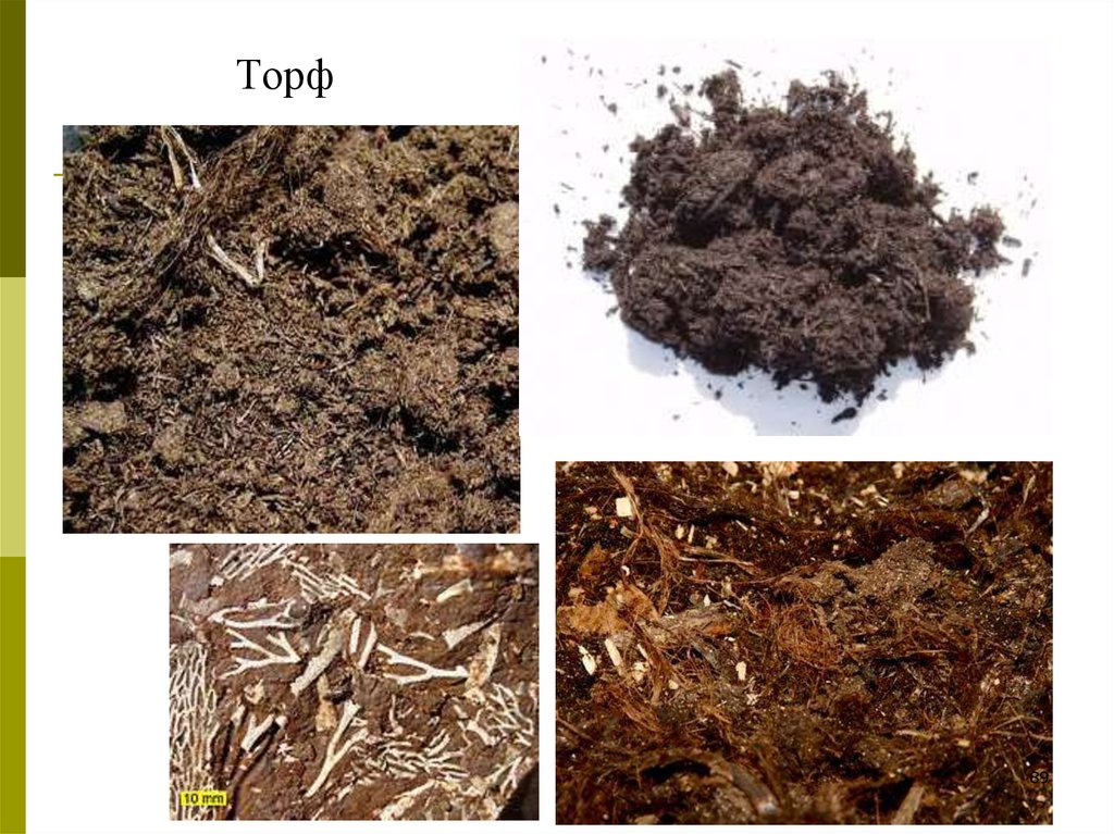 Торф картинки для презентации