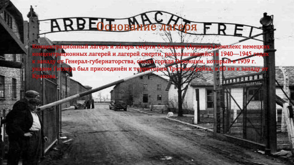 Основание лагеря