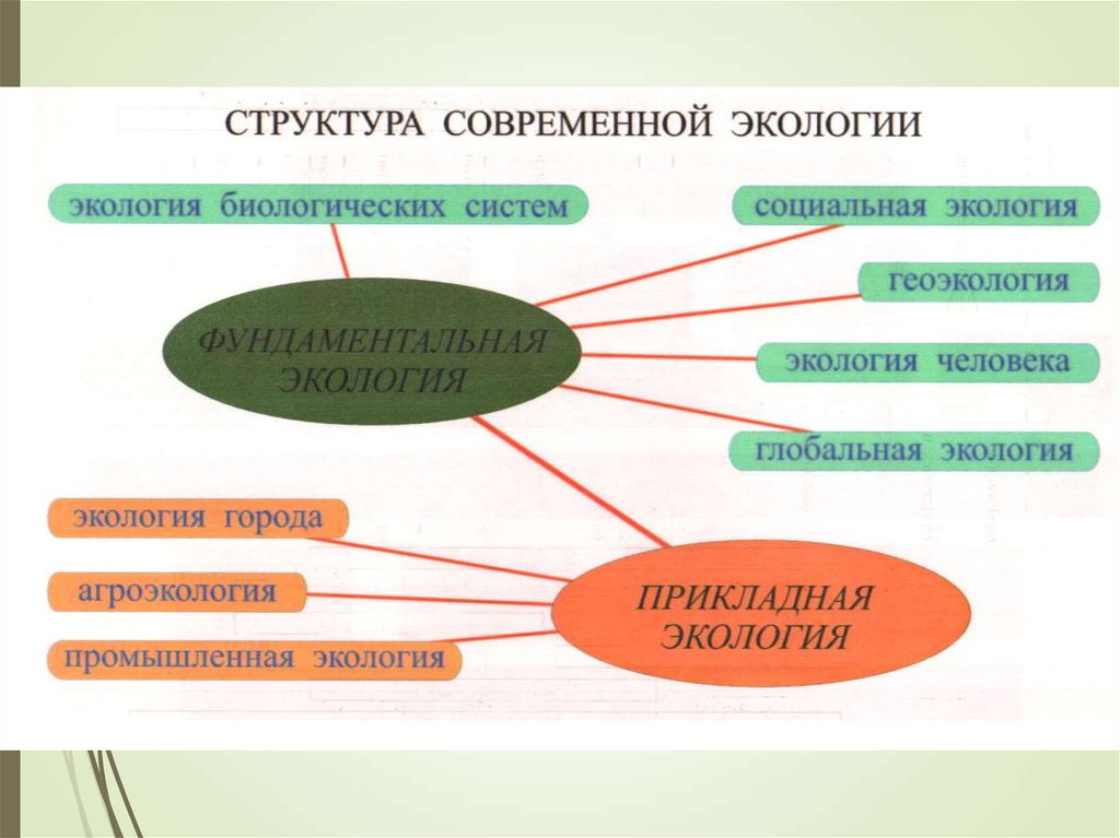 Структура экологии. Структура современной экологии. Структура классической экологии. Современная структура экологии. Методы. Агроэкология это в экологии