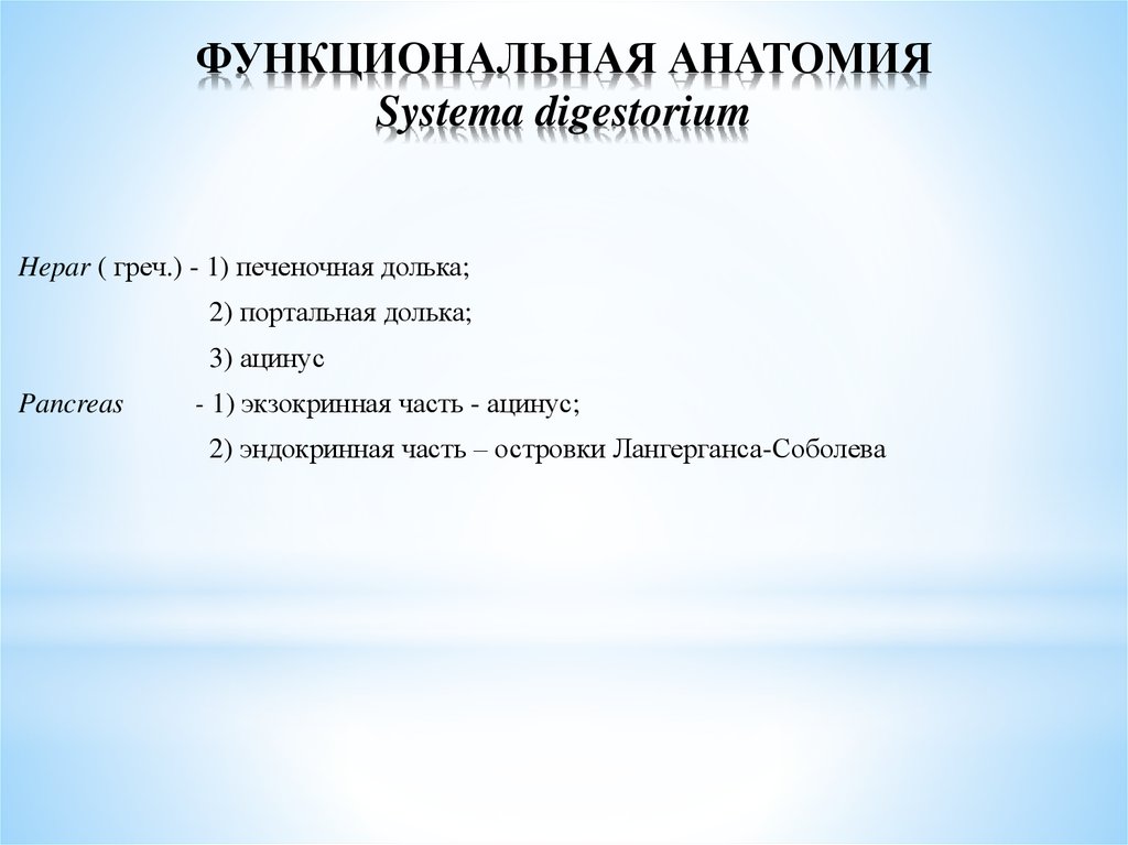 Функциональная анатомия. Функциональная анатомия ученый.