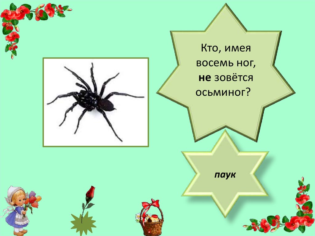 Сколько ног у паука ответ 3 класс. Восемь ног у паука. паукообразные 8 ног. паук 8 ног.