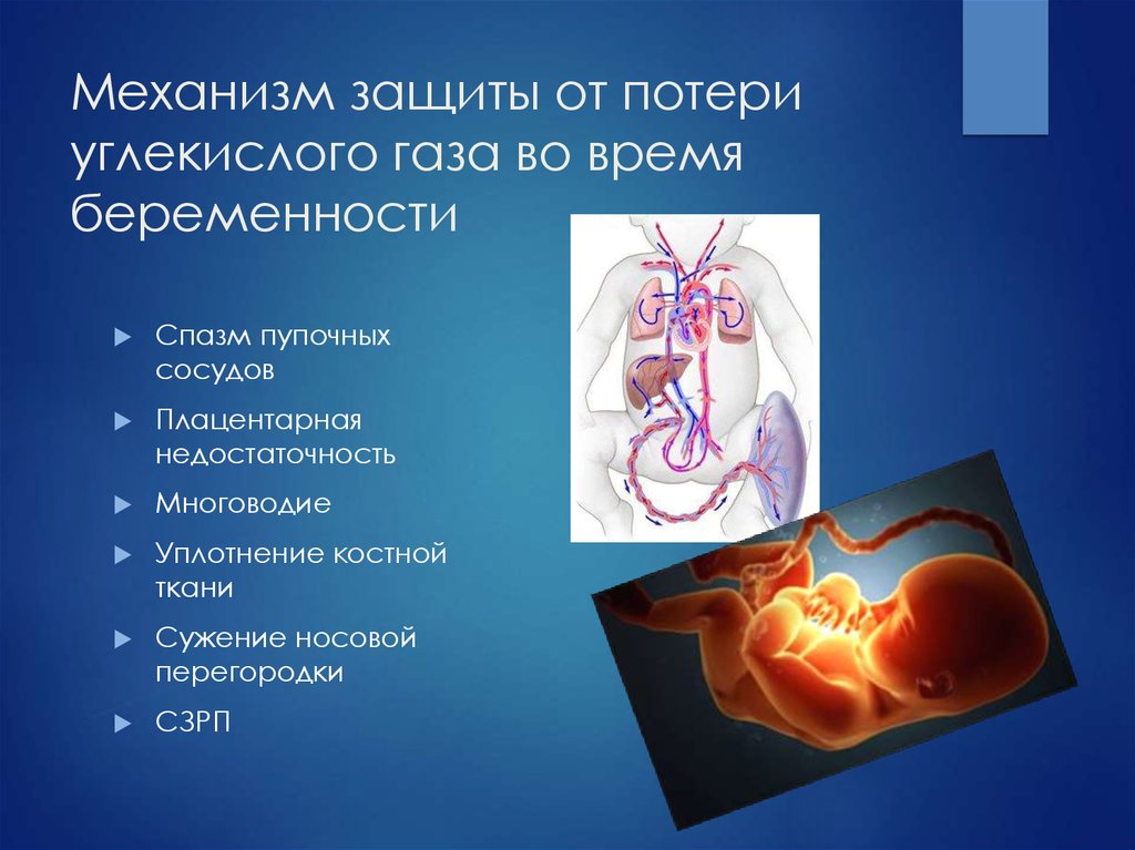 Функция углекислого газа в организме