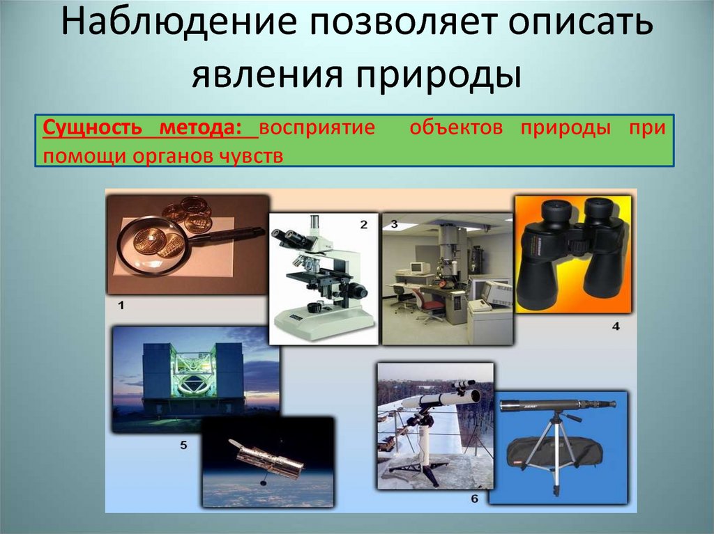 Изучение природы наблюдение. Инструменты наблюдения. Приборы для наблюдения за природой. Приборы наблюдения в физике. Приборы и оборудование для наблюдения в биологии.