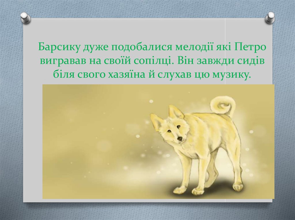 Барсику дуже подобалися мелодії які Петро вигравав на своїй сопілці. Він завжди сидів біля свого хазяїна й слухав цю музику.