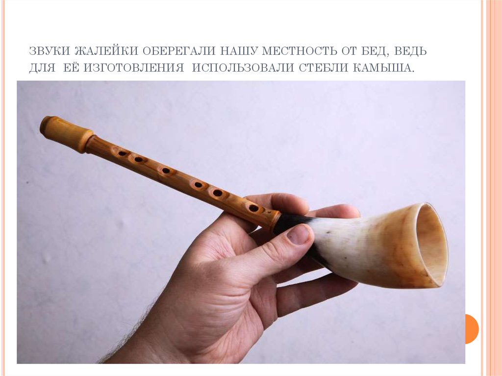 Дудка из дерева или тростника. Жалейка духовой музыкальный инструмент. Жалейка рожок музыкальный инструмент.