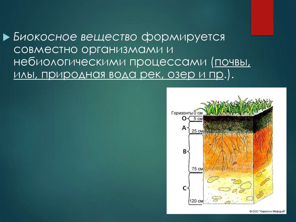 Почва какое вещество биосферы. Биокосное вещество. Почва биокосное вещество. Биокосное вещество по Вернадскому. Вода это биокосное вещество.