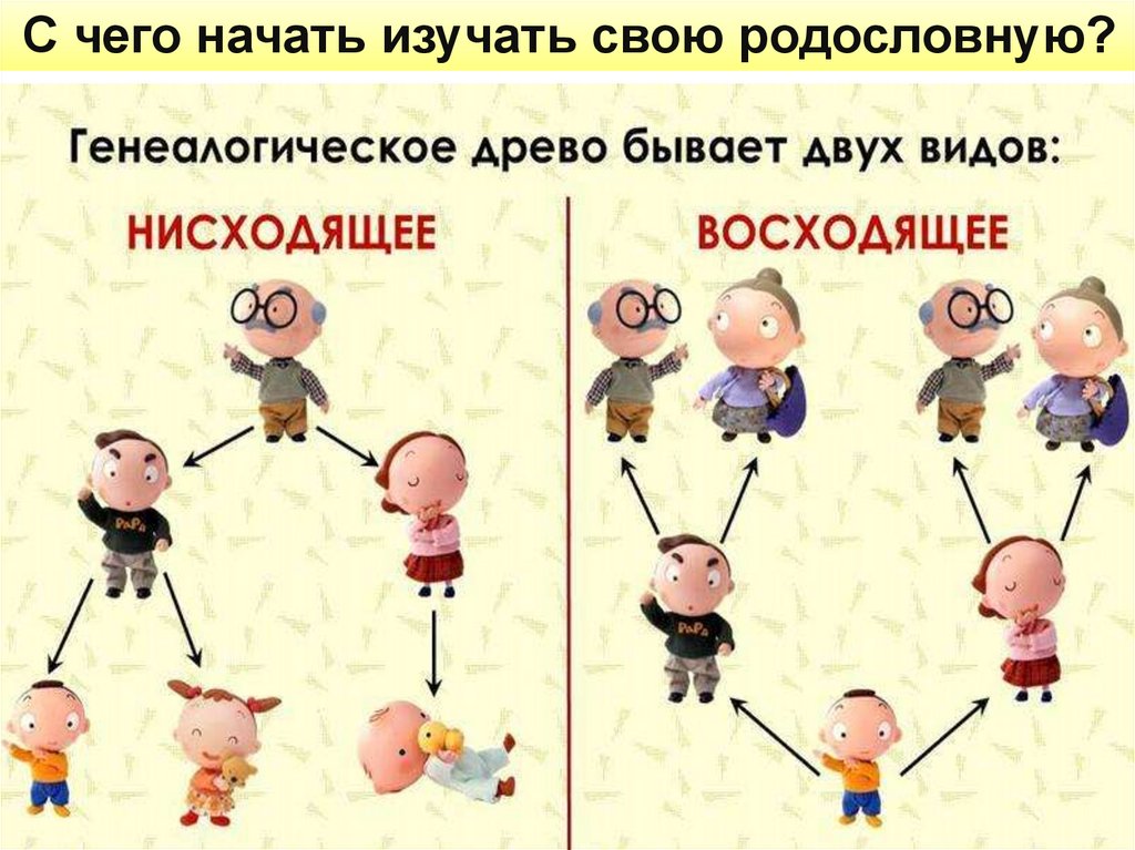 Женский род семья. С чего начать изучение своей родословной. Род семья. Родословие семьи схема.