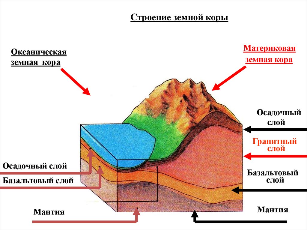 Литосфера состоит из твердых горных пород. Строение земной коры осадочный слой гранитный слой. Строение материковой земной коры. Строение осадочного слоя земной коры.