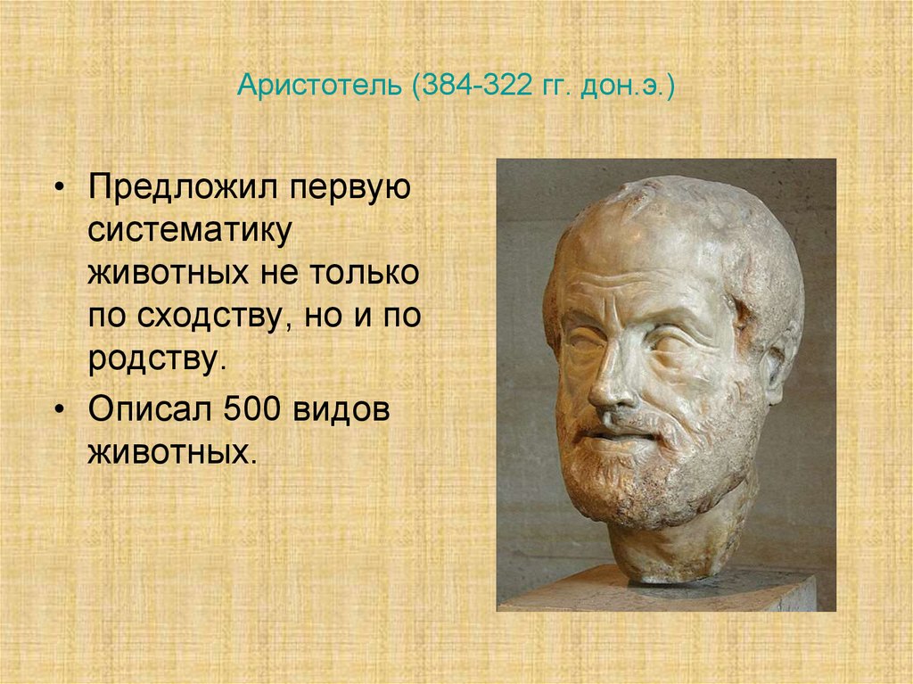 аристотель 1 предложил. ). ). аристотель 1 предложил. аристотель о дружбе.
