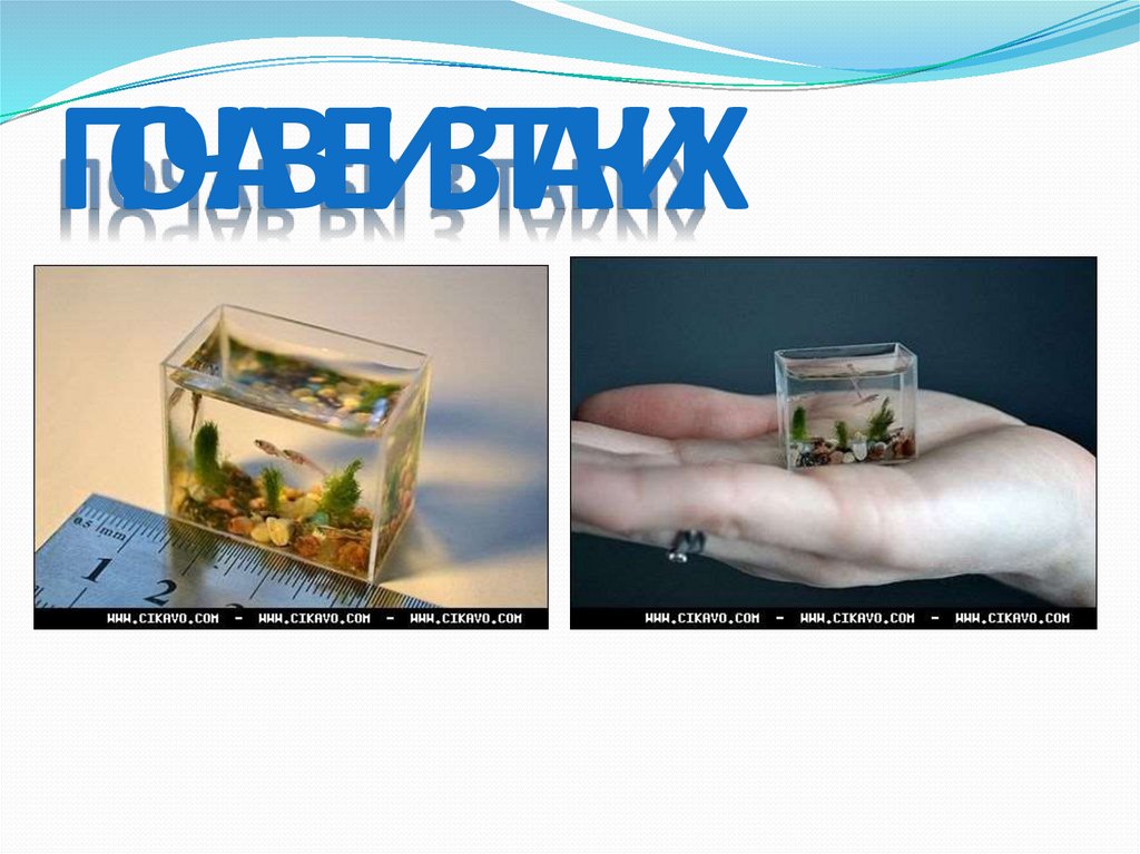 почав би з таких