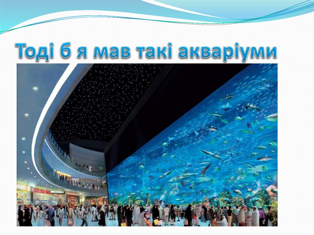 Тоді б я мав такі акваріуми
