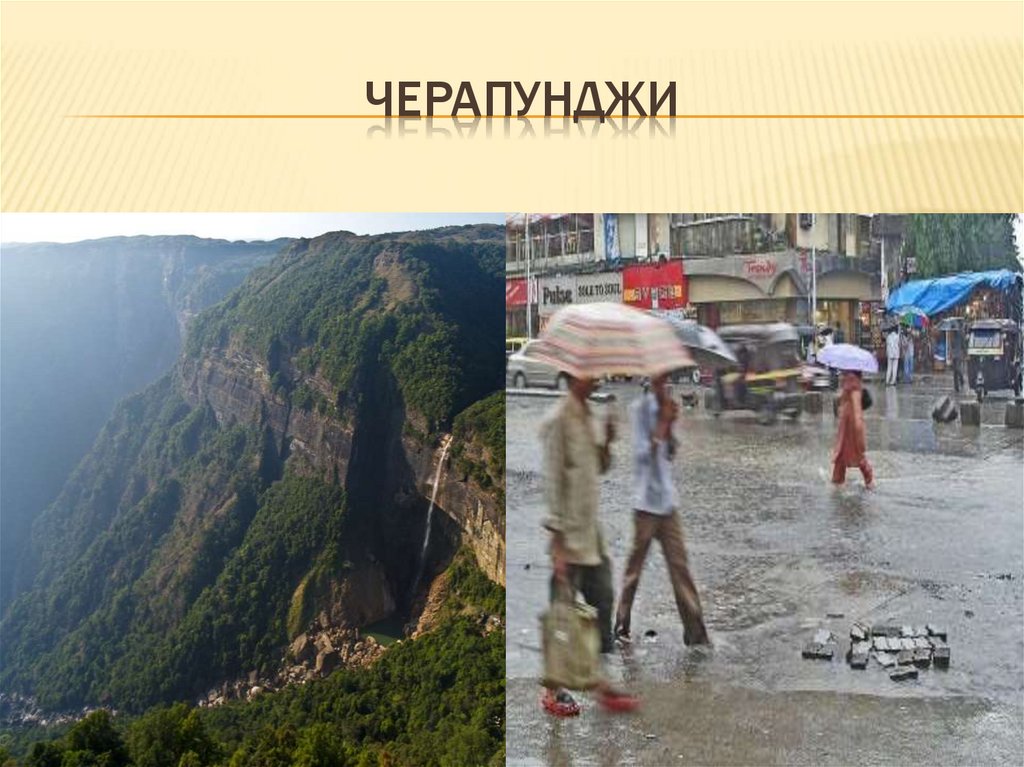 Самый влажный климат в мире. Черапунджи Индия. Черапунджи самое влажное место на земле. Черрапунджи Индия самое влажное место на земле. Город в Евразии Черрапунджи.