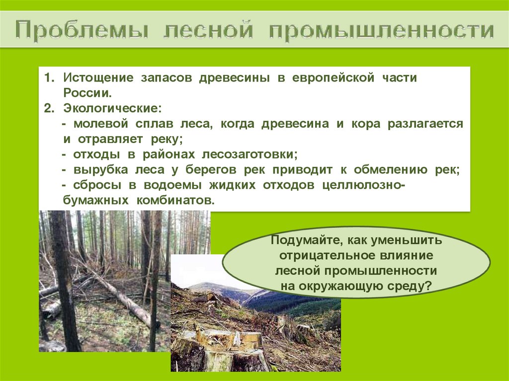 Лесная влияние на окружающую среду. Проблемы Лесной промышленности Молевой сплав леса. Влияние Лесной промышленности на окружающую среду. Лесная промышленность воздействие на окружающую среду. Влияние леса на окружающую среду.