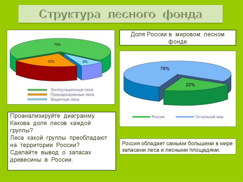 Долями какой процент. Диаграмма леса. Структура земель лесного фонда. Диаграмма леса в России. Диаграмма ресурсов России.