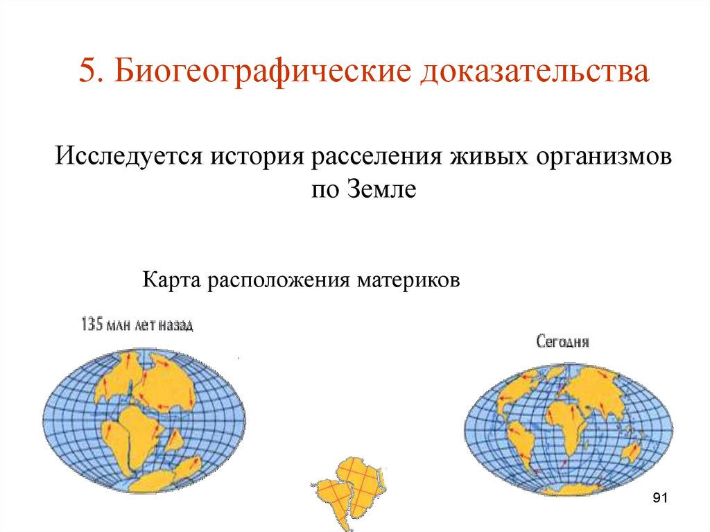 Биогеографические доказательства. Таблица расселение и распространение живых организмов. Способы расселения живых организмов. Биогеографические области земли. Биогеографические области земли таблица.