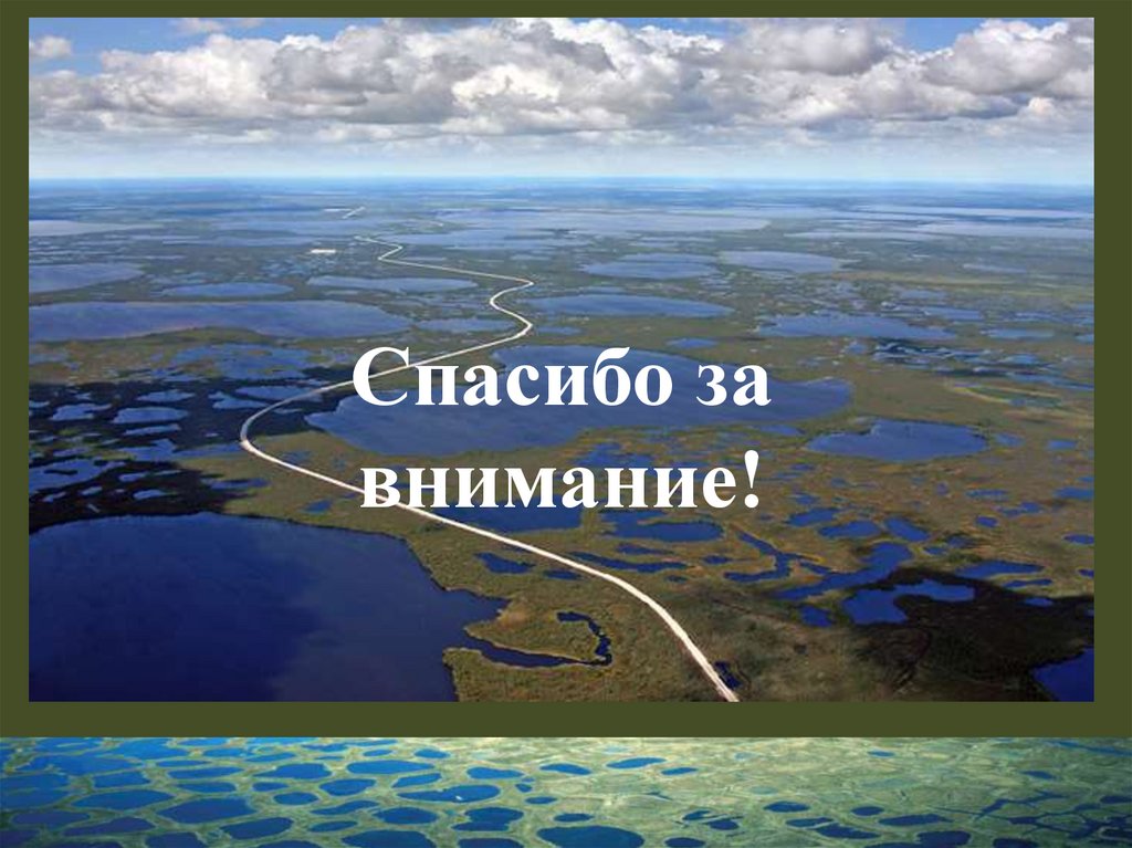 Спасибо за внимание для презентации народы россии