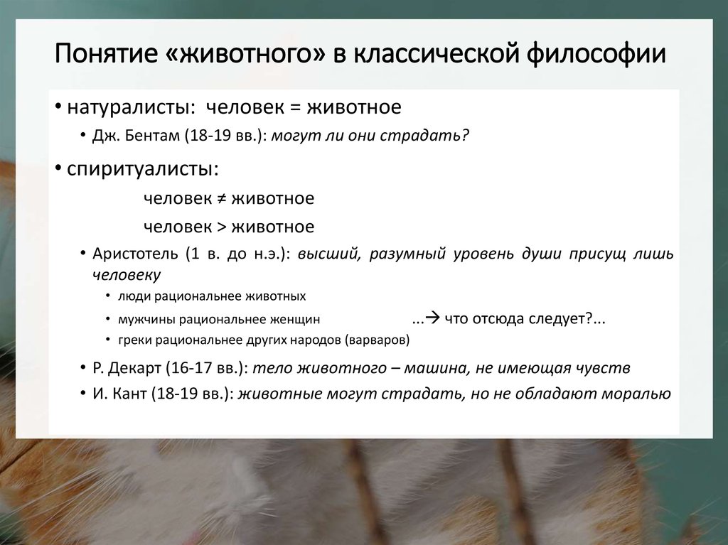 Термин животное. Понятие животные. Животное термин. Термины животных. Содержание понятия животное.