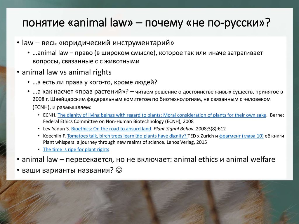 Понятие животные. Значение понятия «animal Simbolicum».