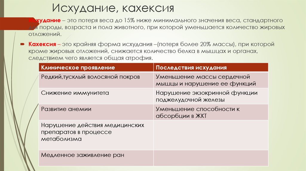 Кахексия симптомы. Кахексия классификация. Кахексия стадии классификация.