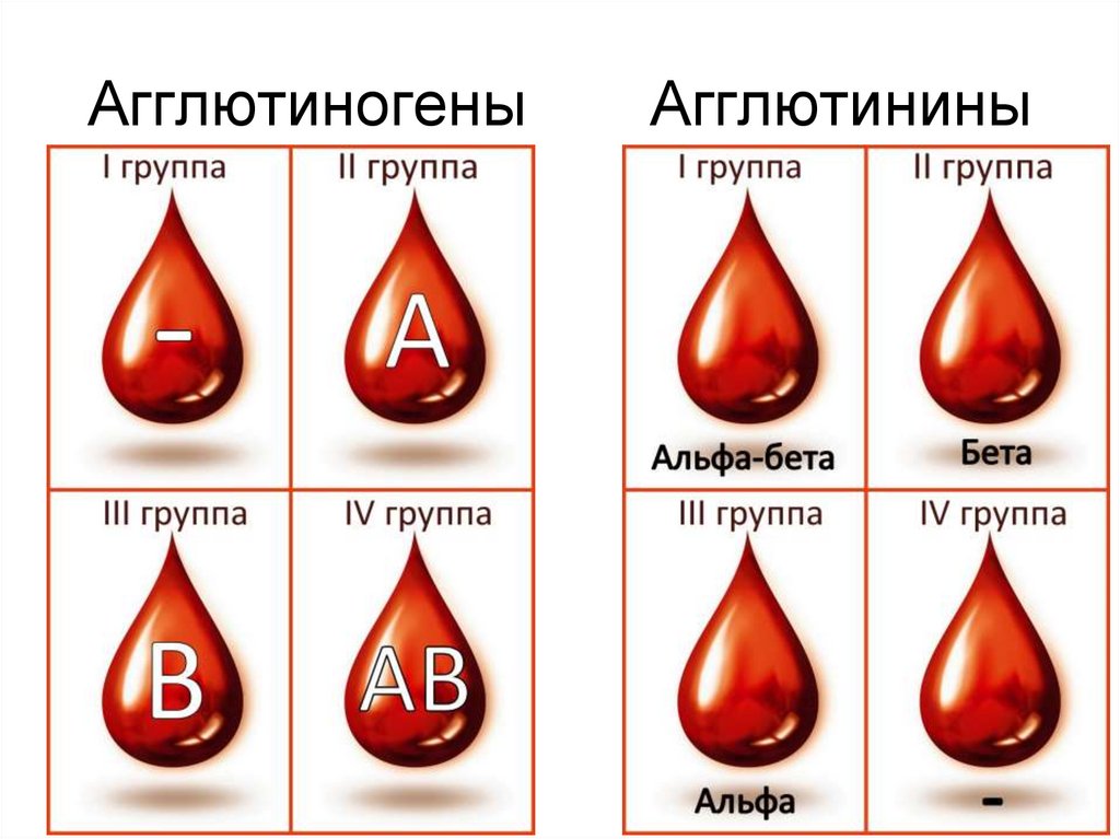 Агглютиногены 2 группы крови. Агглютинины 2 группы крови. Агглютиногены эритроцитов таблица. Аглютино гены. Группы крови агглютиногены и агглютинины крови человека.
