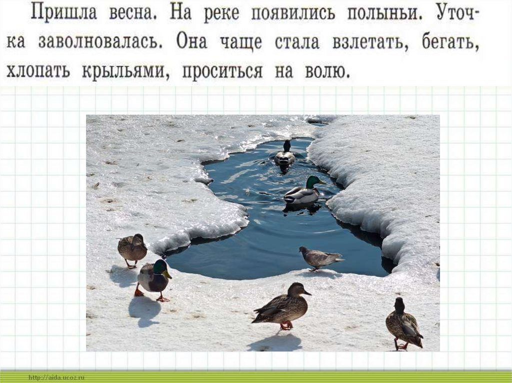 Изложение повествовательного текста по цитатному плану 4 класс школа россии упр 162