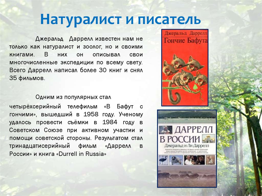 Писатели натуралисты. Джеральд Даррелл Писатели-натуралисты. Даррелл зоолог писатель Джеральд. Джеральд Даррелл писатель биография. Доклад о Джеральде Даррелле.