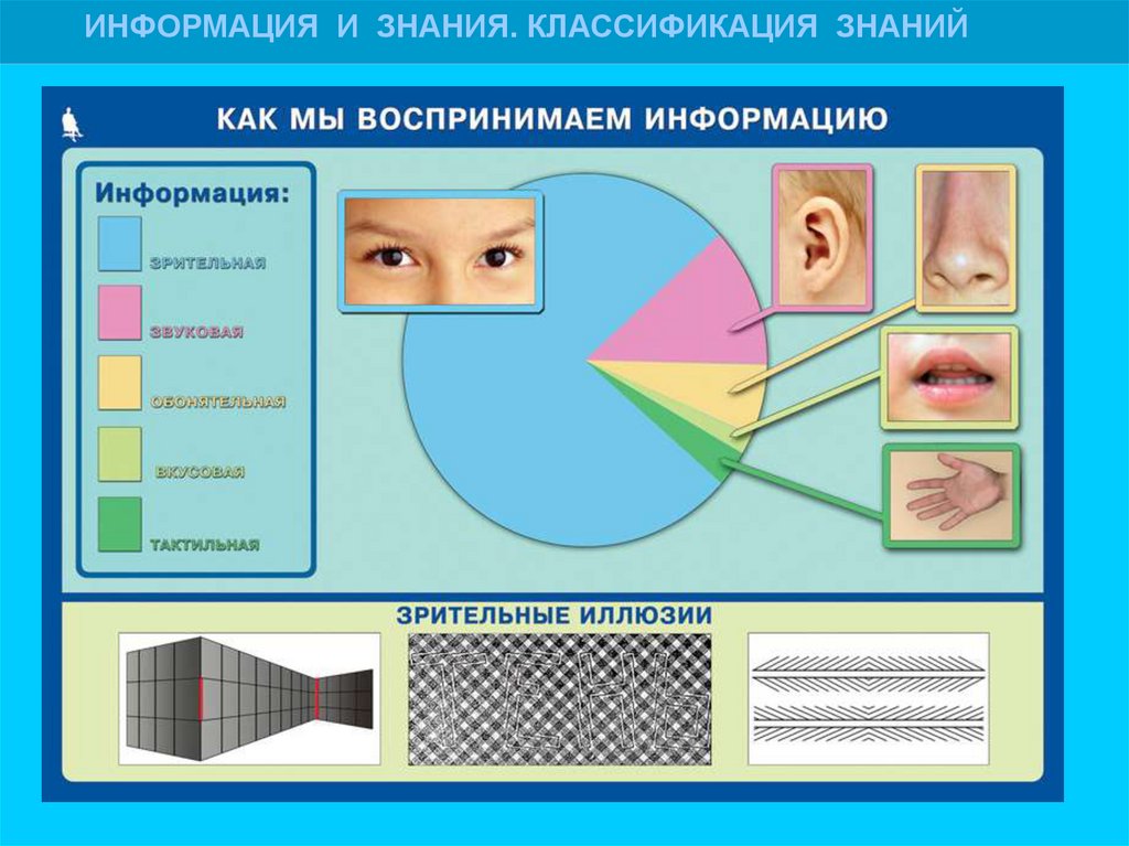 Каналы восприятия информации человеком технология 5 класс презентация