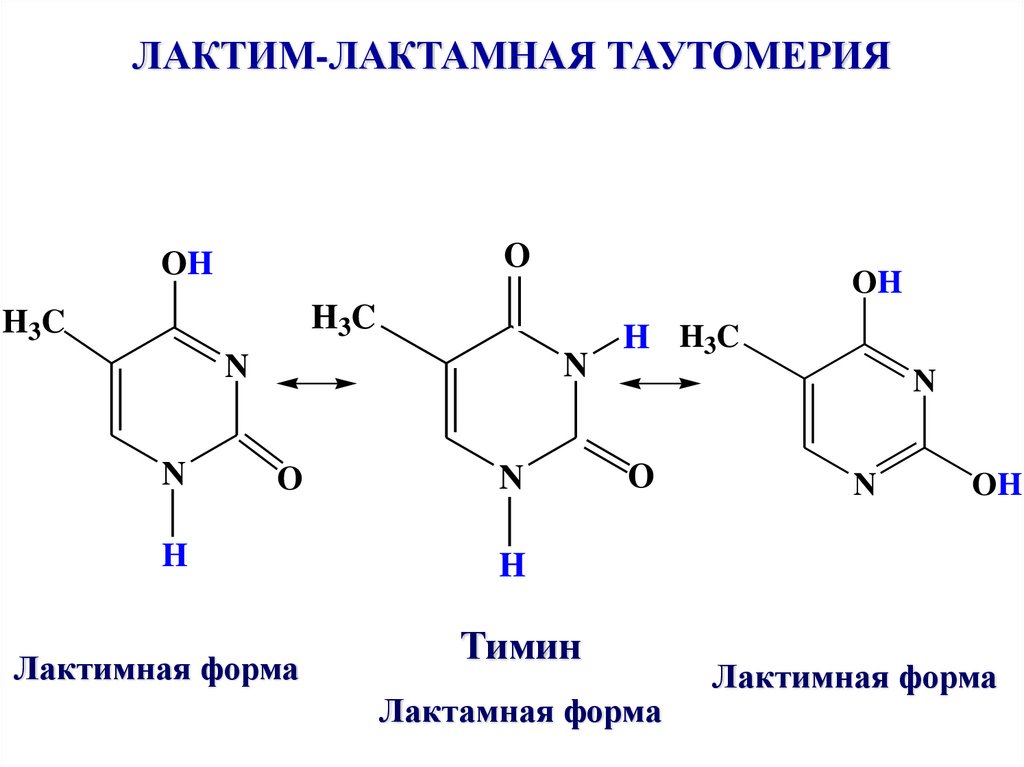 Таутомерия аденина